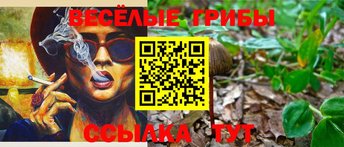 Галлюциногенные грибы ЛСД Гатчина