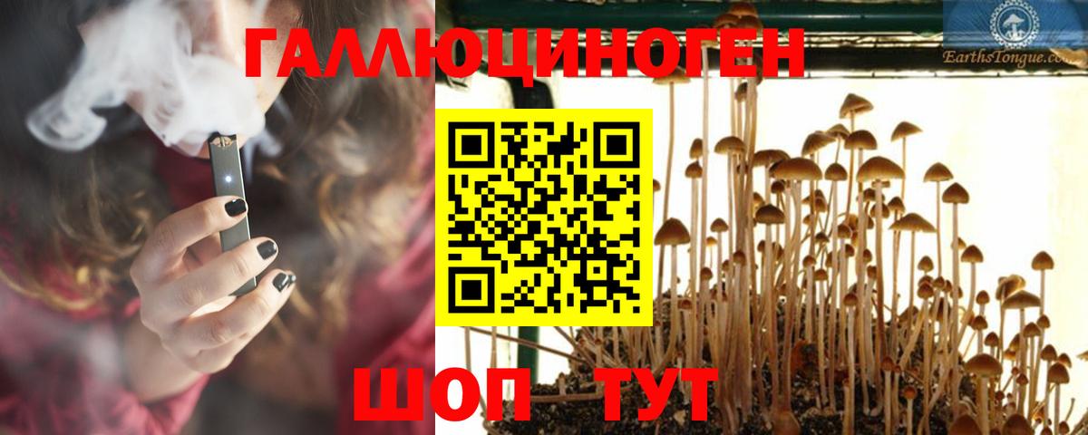 Галлюциногенные грибы GOLDEN TEACHER  Вход с VPN  Гатчина 
